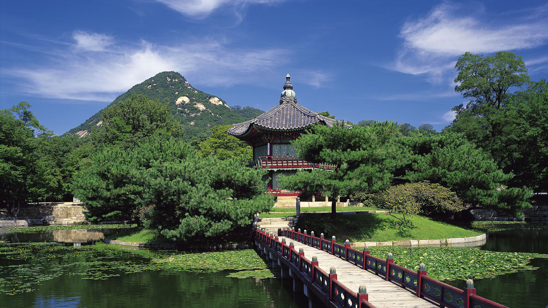 世界举重康复名师驻点教学第260站成果汇编发布，世界举重选手